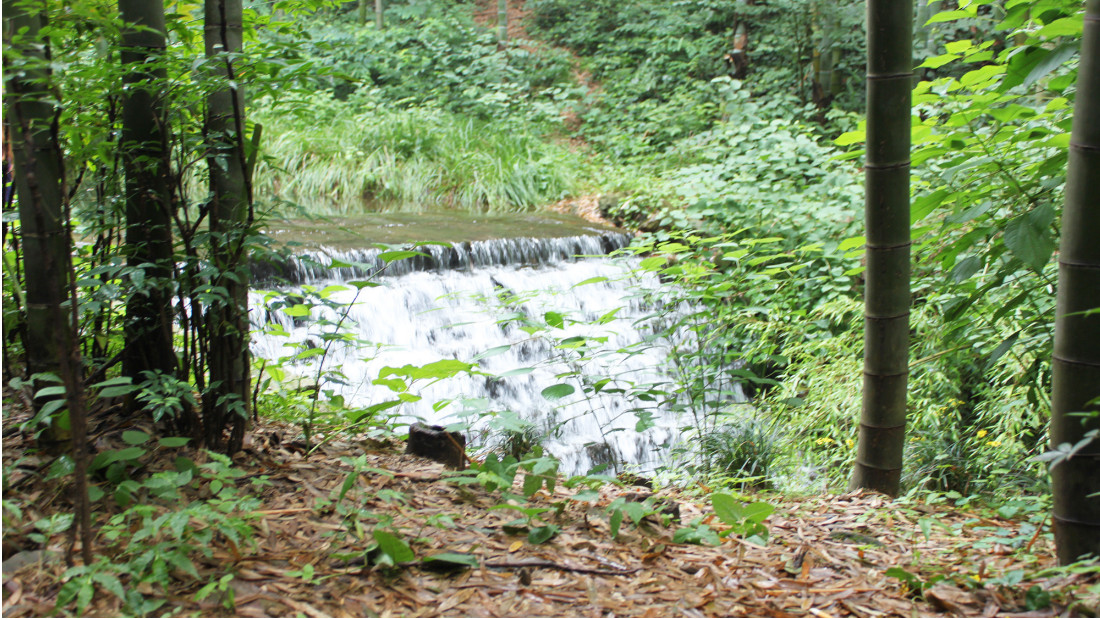 三月環(huán)保相關節(jié)日科普